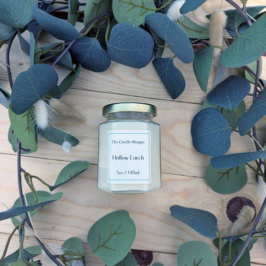 Hollow Larch 5oz Candle