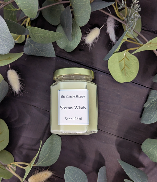 Stormy Winds 5oz Candle